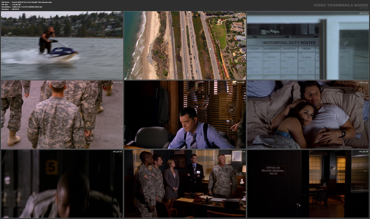 Psych S04E10 You Can't Handle This Episode.mkv