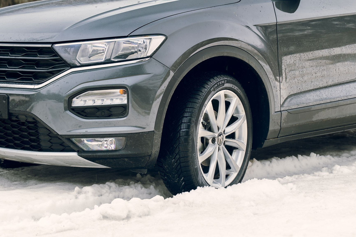 CinturatoWinter2-car