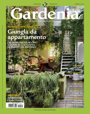 Gardenia - Gennaio 2025