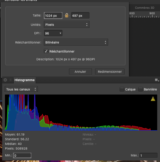 Capture d’écran 2021-02-17 à 10.59.15