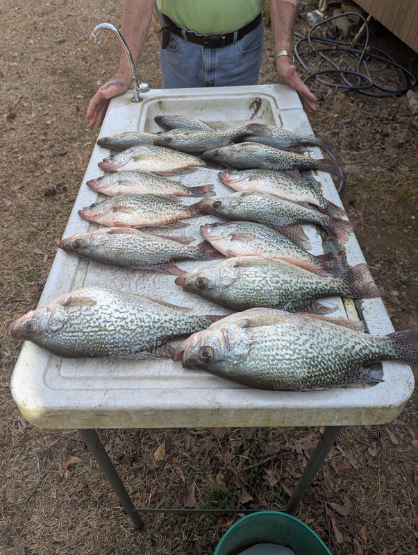 PXL_20250227_204306224