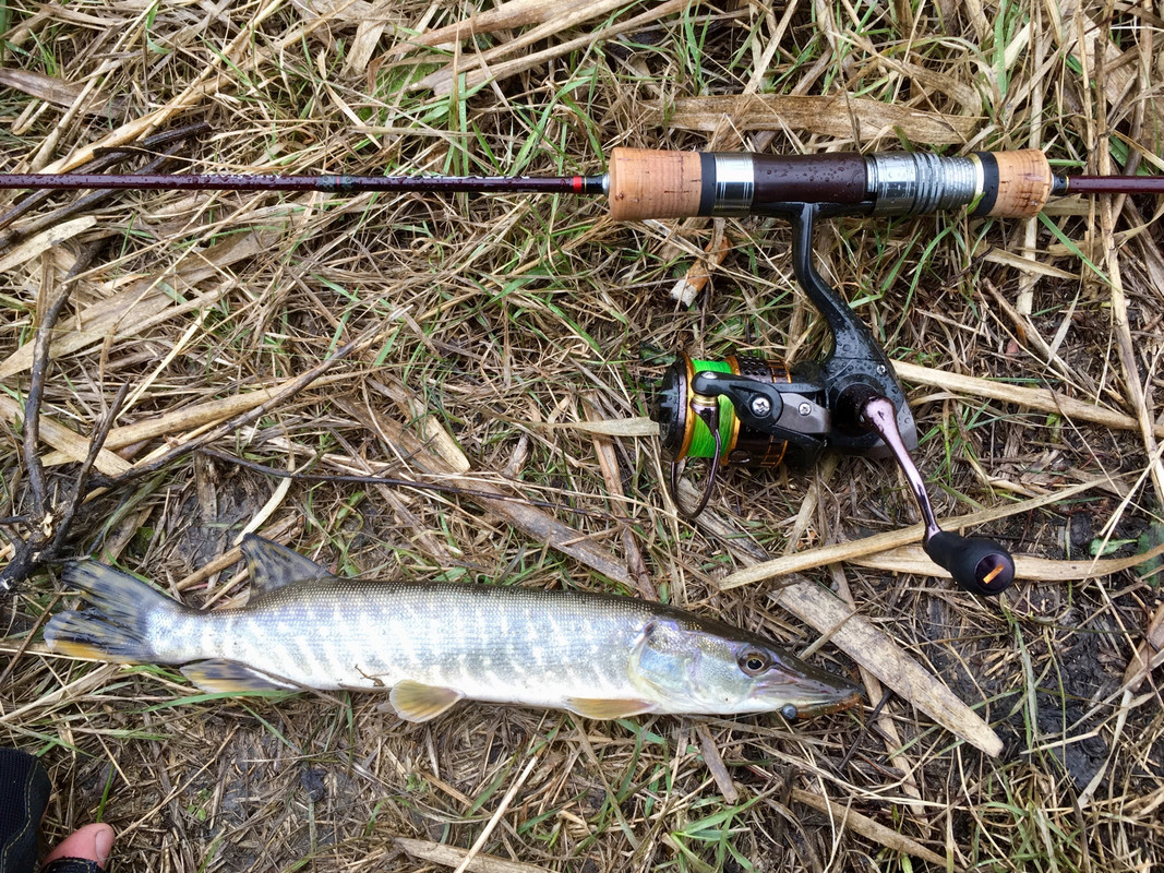 60FF425B-AFD9-44D6-995F-205B85C33AFB