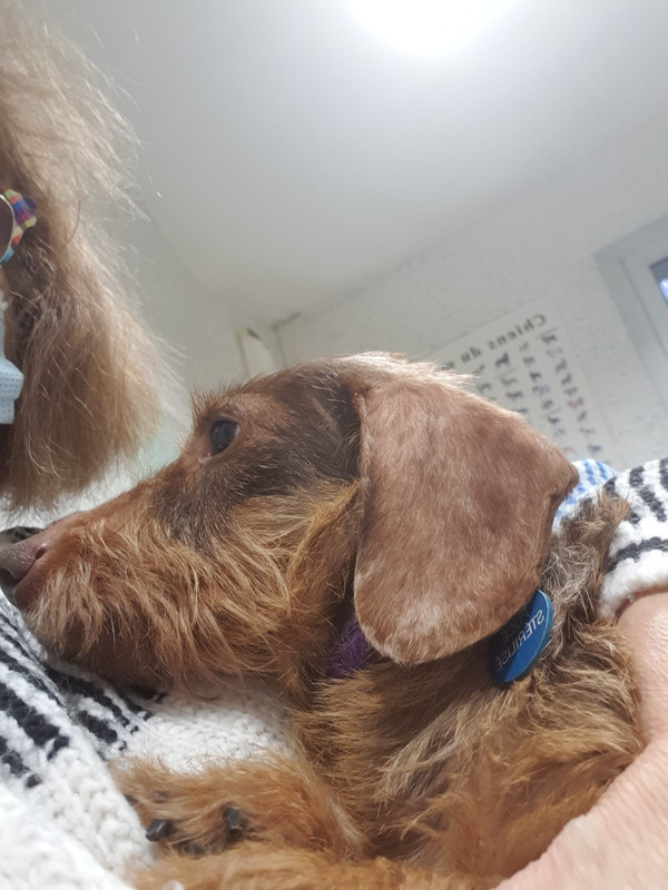 [Image: 20220218-184029.jpg]