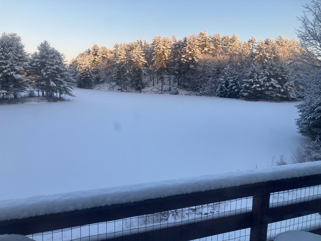 9571AC30-2DD0-4D55-ABF6-410018E00BD4