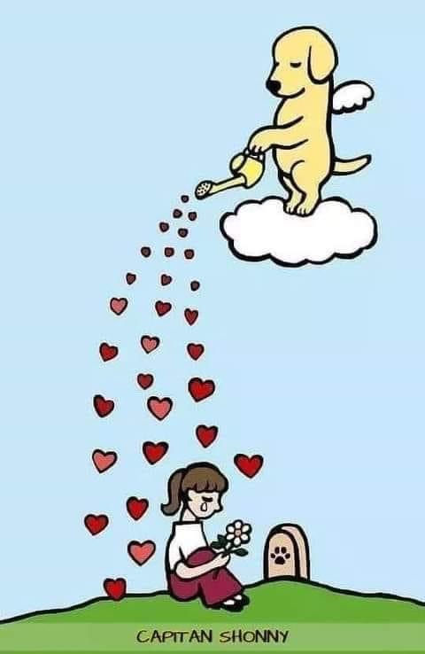 [Image: ABA94-E23-F9-E7-422-B-A5-A2-1-E72-E4-A9211-F.jpg]