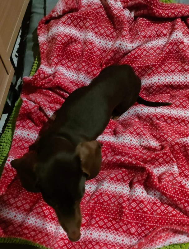 [Image: IMG-20240410-WA0006.jpg]