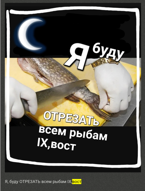 https://i.postimg.cc/8PDZw5tf/Screenshot-20250101-161233.png