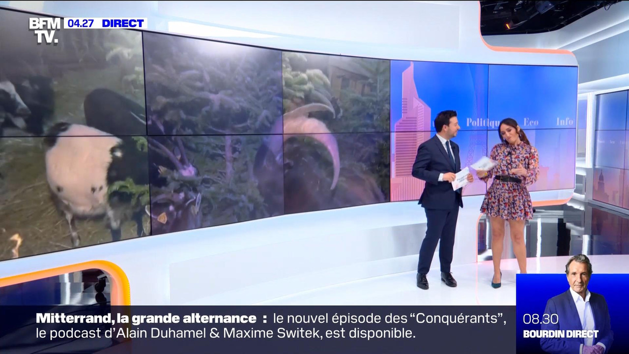 01.07 - 03.30.00 - Première édition. Un nouveau tandem prend les comm....ts_snapshot_00.02.40_[2022.
