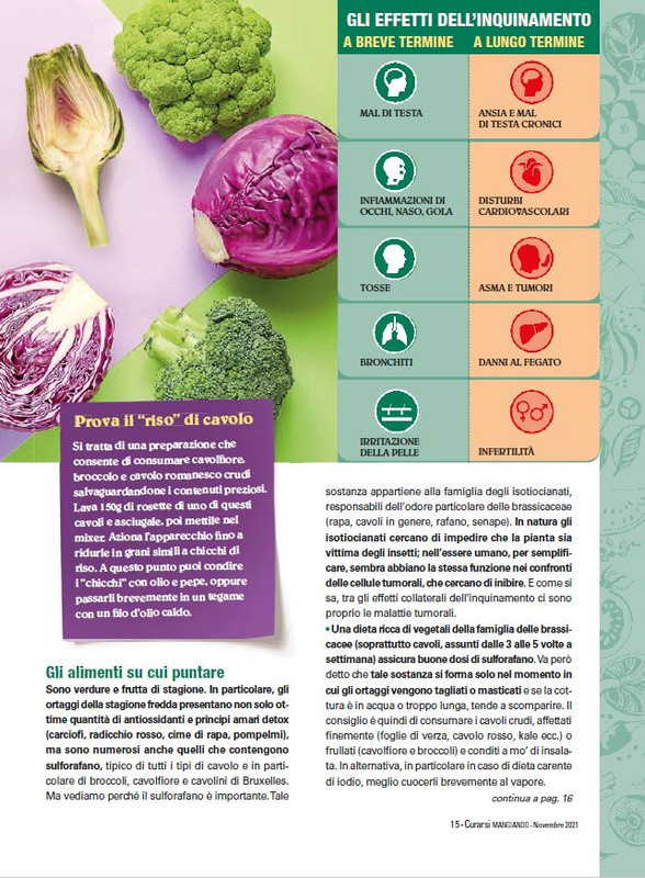 Cur Mang Nov 2021 (2)