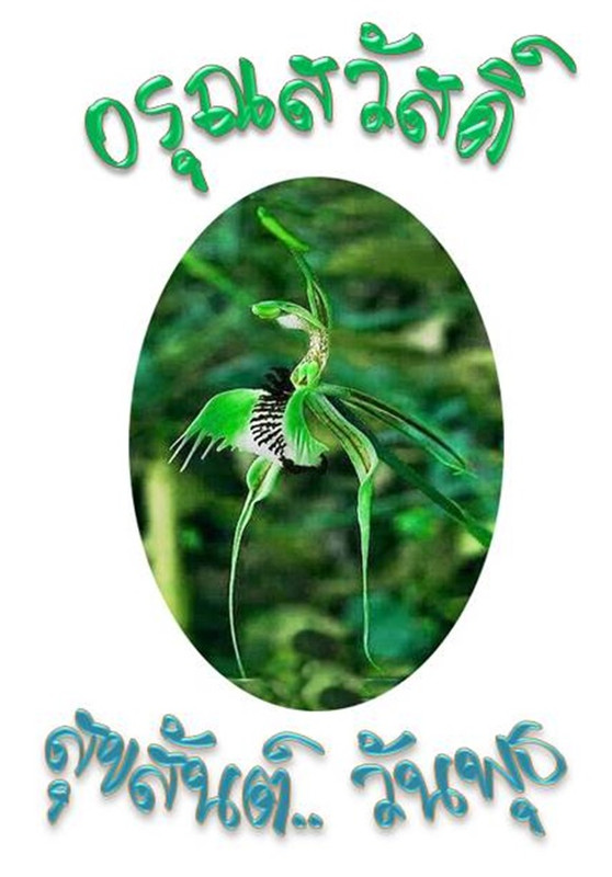 อรุณสวัสดิ์  วันพุธ 10