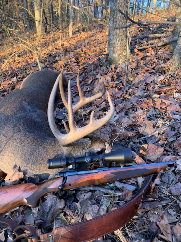 6EBE2C06-29B5-4E52-B5B9-CEF2C2F14458