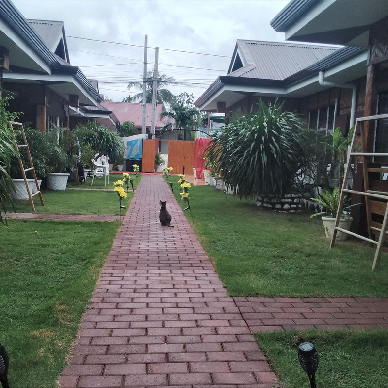 La mia vita. Римские записки, дневник онлайн