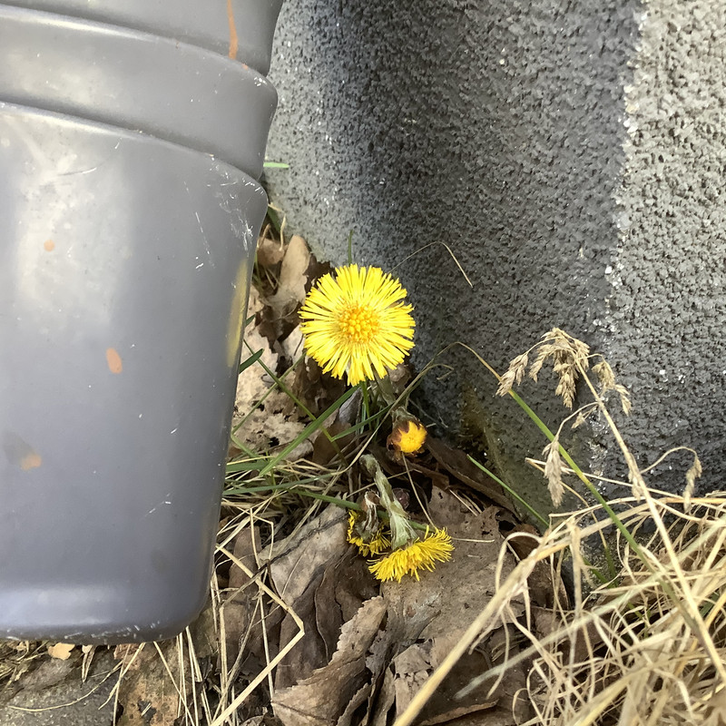 CCADC1B0-E523-49D9-A04B-8034F9982558