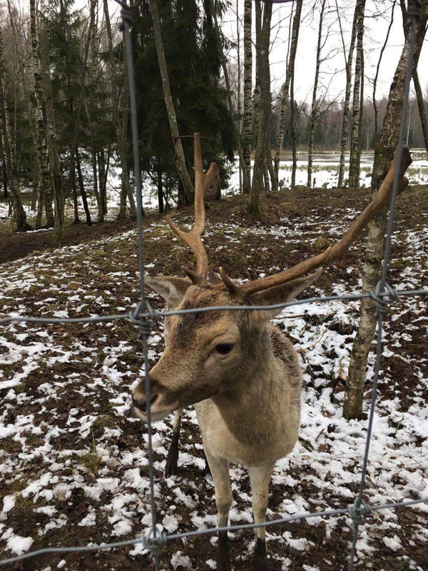 14EC1639-202B-473F-A3D7-538D6BFD7C4D