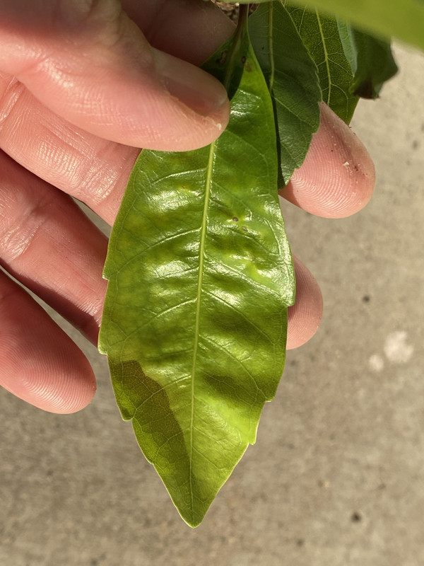 8114AE03-1B29-4D7A-B31B-9B02AF3FB548