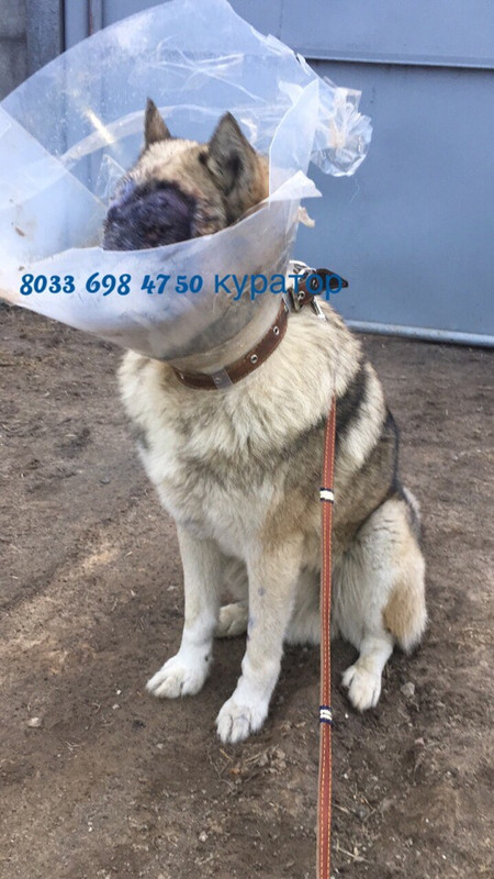 086D9B39-49FA-4E41-91C5-D910F4B76E74