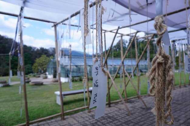 Дополнительные аспекты и нюансы выбора