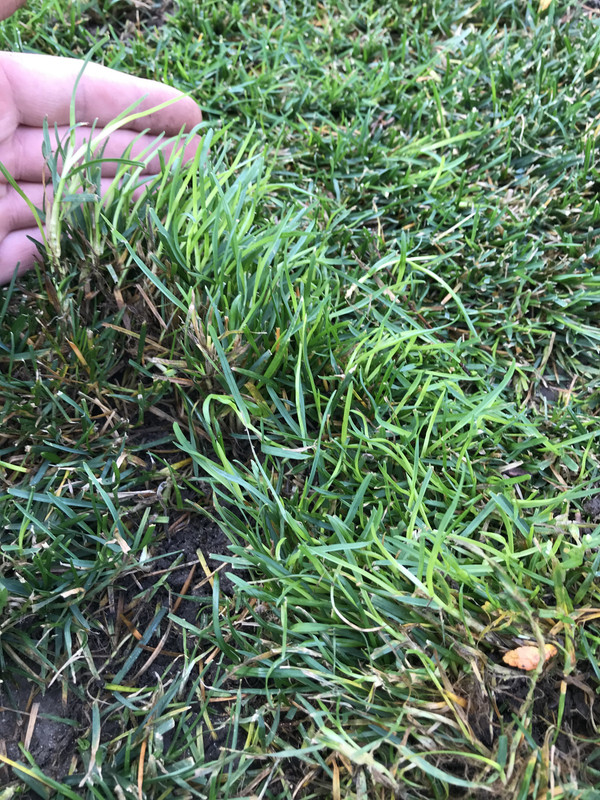 DD0B7D3D-7C59-4577-A05F-56DF728957A3