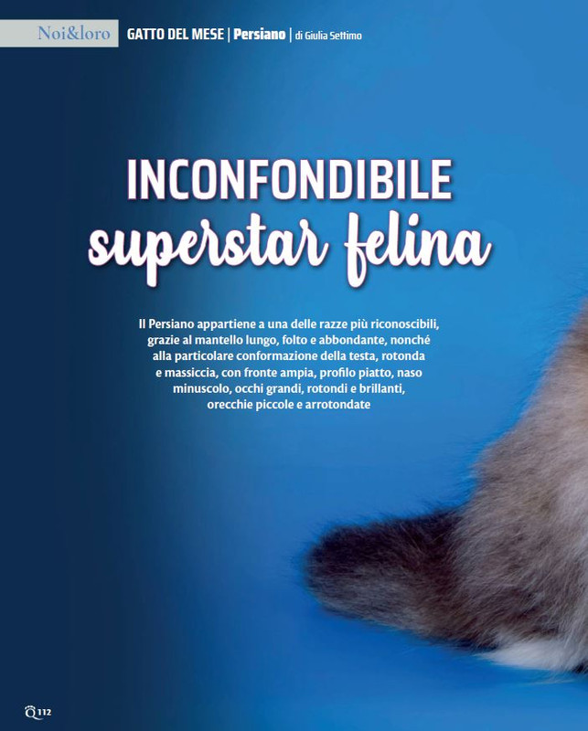 QuattroZampe Nov 2022 (11)