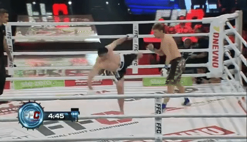 Mindless-Enchanting-Acaciarat-size-restr