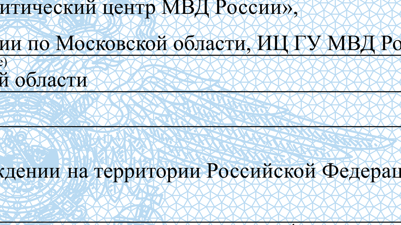 05. Справка о не судимости - Масштаб 500%