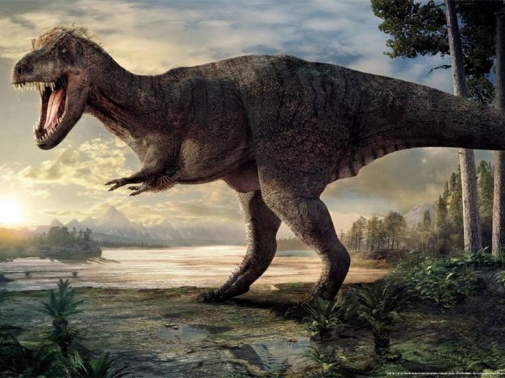 c7d1802017952f81832d5835108feb6c