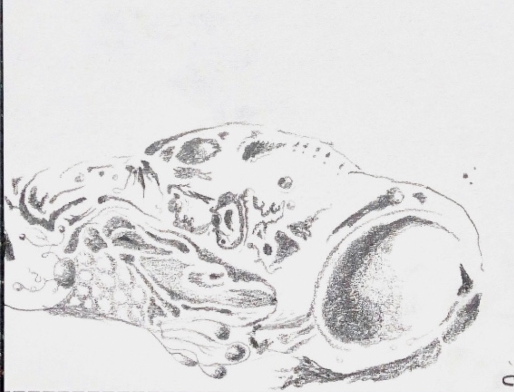 Drawing 3