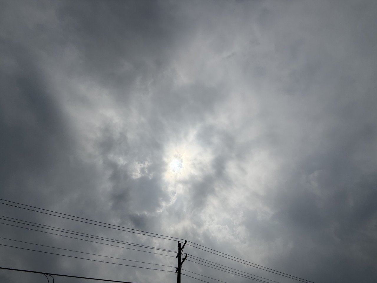 IMG-1282.jpg
