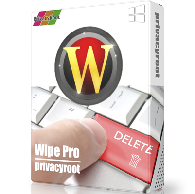 Wipe Professional 2021.11 Multilingual