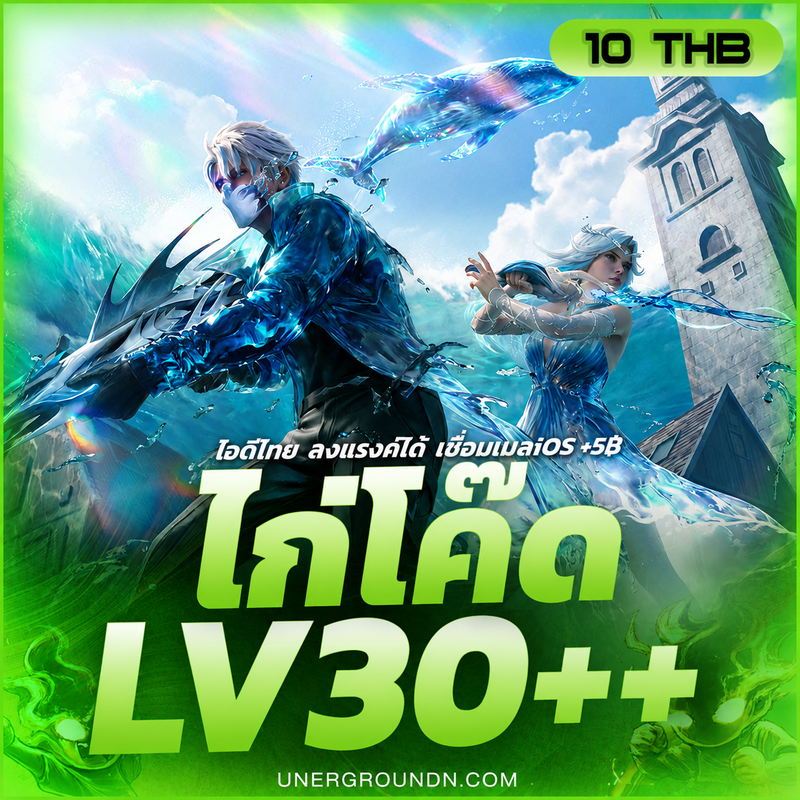 ไก่โค้ด LV.30