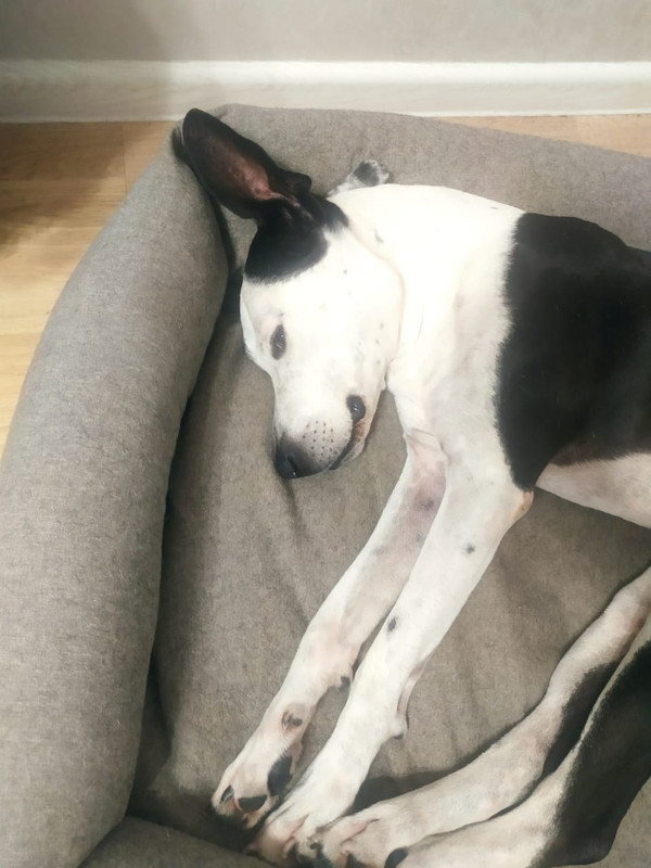 114CCEC0-4E7E-4D35-A199-28B99D29ACF2