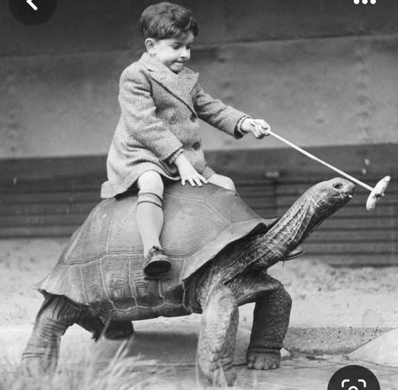 Screenshot_20231201_230634_Pinterest