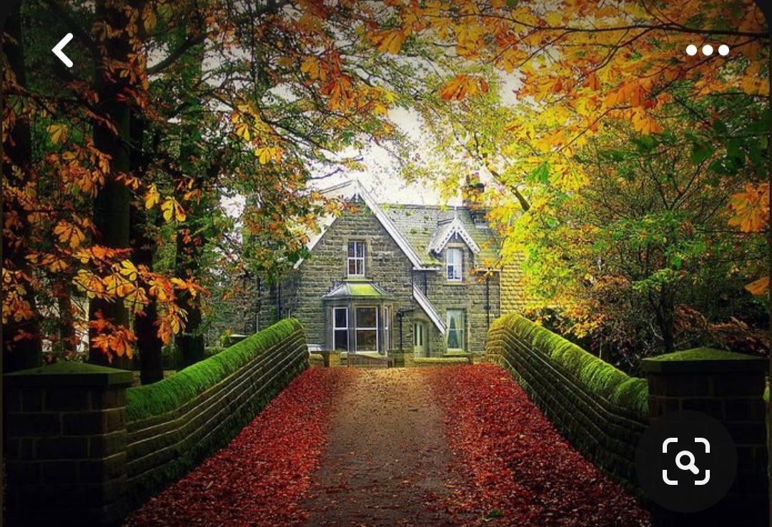 Screenshot_20231201_001449_Pinterest