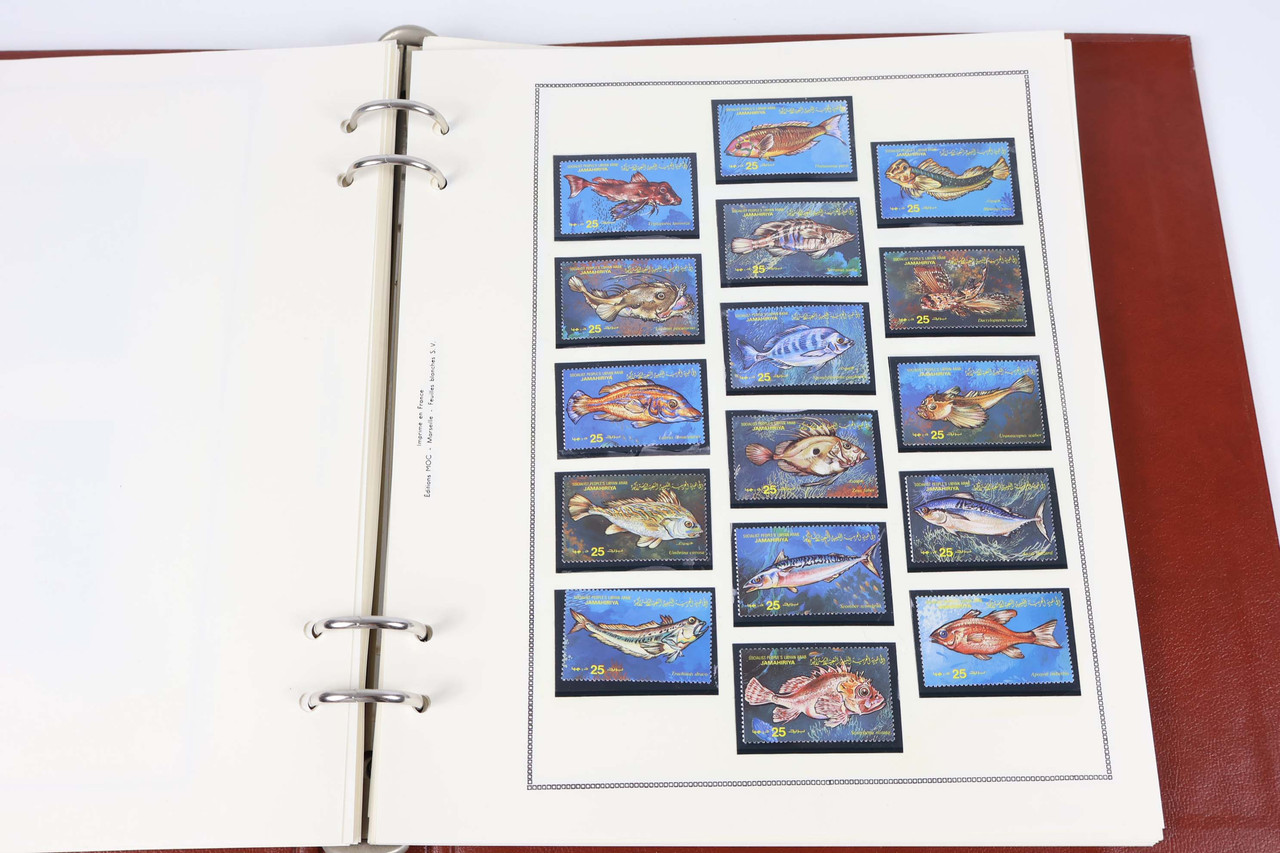 IMG 7701