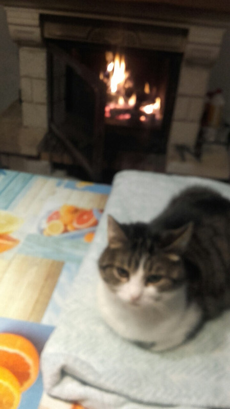 B98CF0E5-089A-497A-B518-6A25886DAEE0