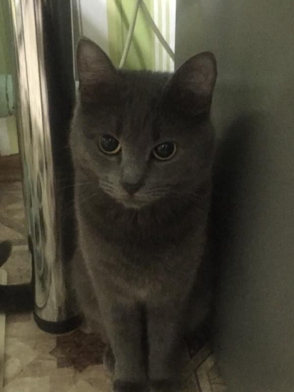 выздоровела