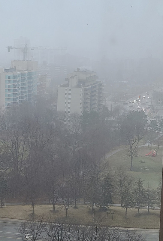 [Image: 20231231-150511.jpg]