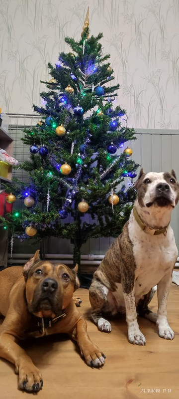 7B490D96-74FD-4F36-9CCD-1DDE4DEEDB00