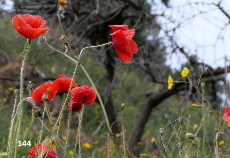 144 pottyinbound6559327843811639191 (1)