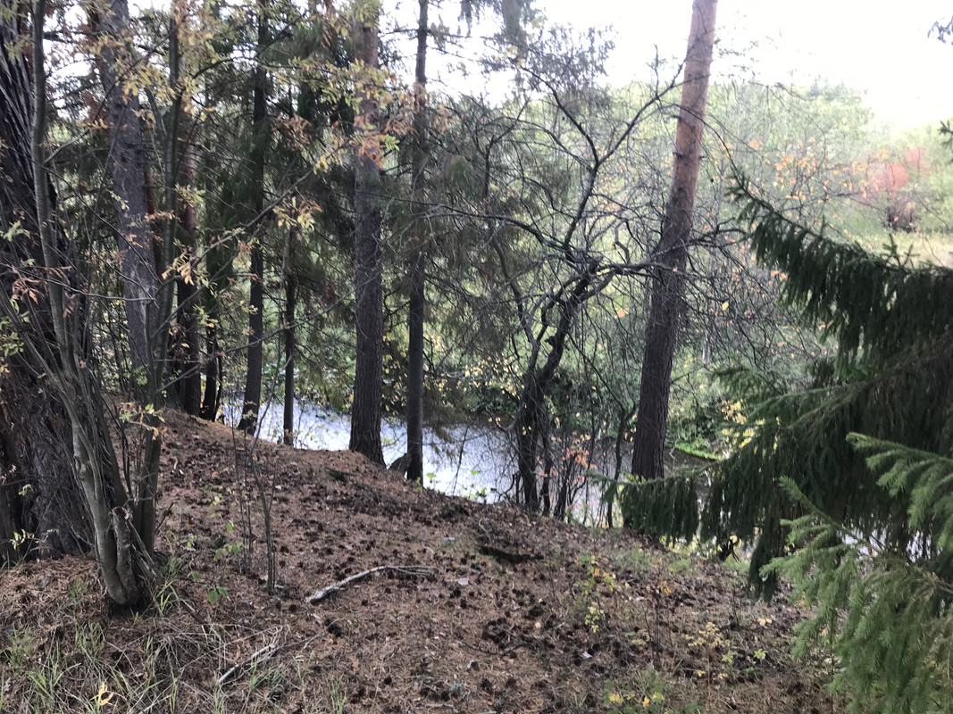 B3A4FAE4-8CA1-4CE4-8FBB-F42AE8669CD5