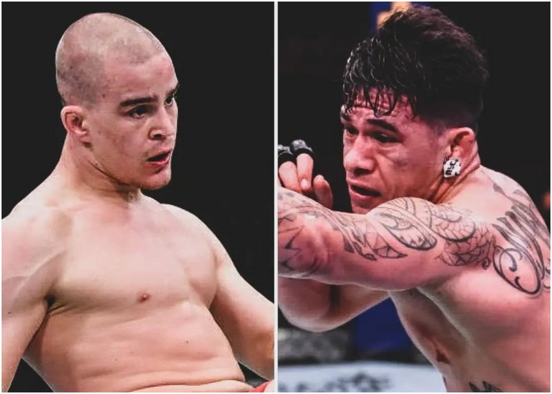 Душко Тодорович срещу Маки Питоло на UFC on ESPN 31