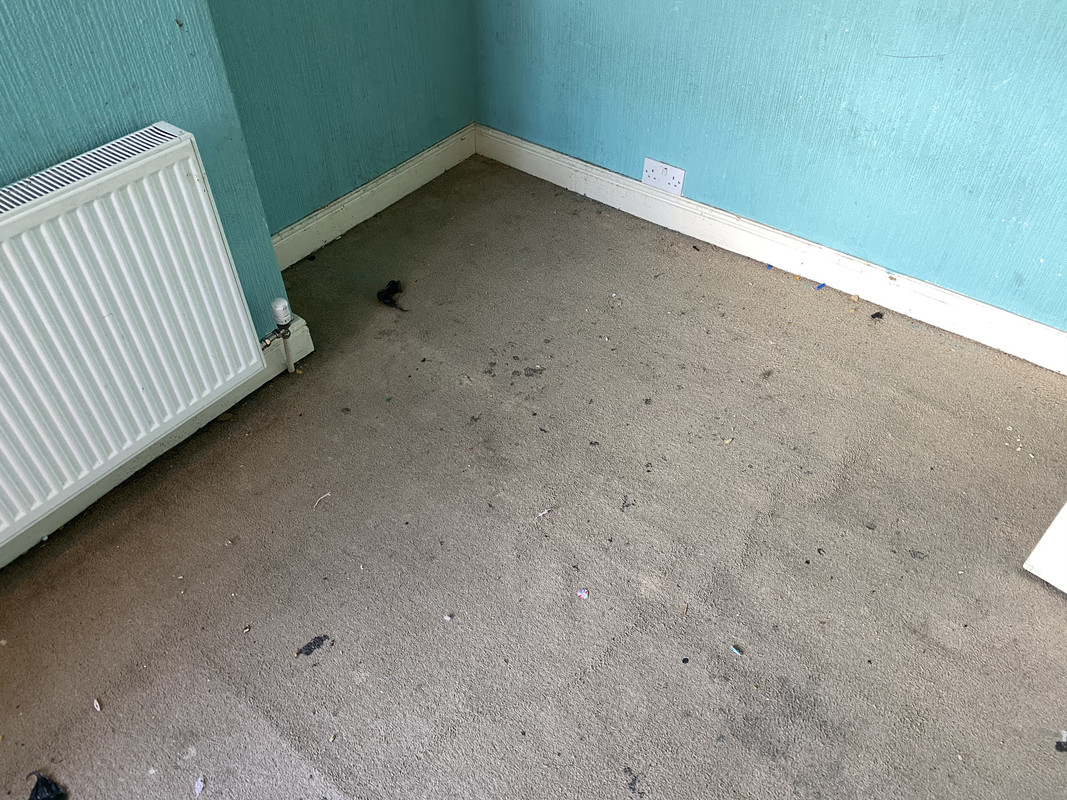 43C3CA5D-5CD7-4CBB-9824-4BEC6078AAE8