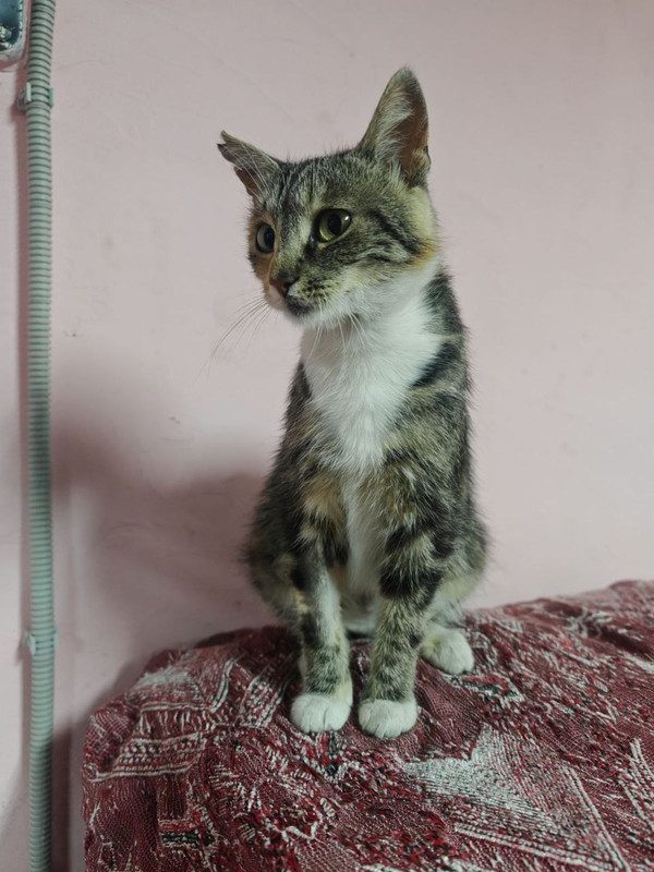 8K_m6CUyCNoJ8UX0owgtWQgA4ius8_8Z5dqLboe404UyVaGiRx_K4e7rC4tv-27-IAMl4sWrX0garKalsCFDKIkM