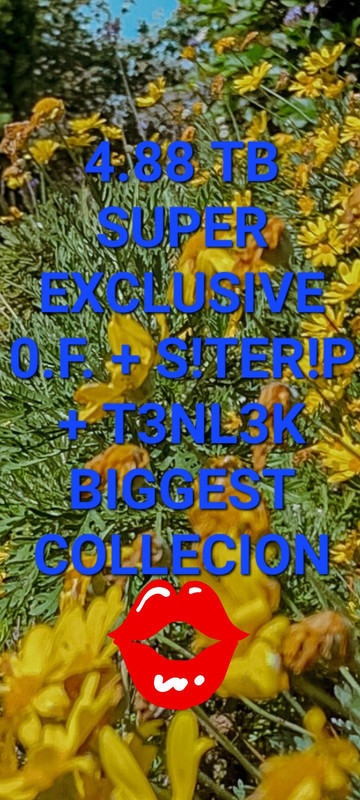 💢💢4.88 TB SUPER EXCLUSIVE 0.F. + S!TER!P + T3NL3K BIGGEST COLLECION💢💢