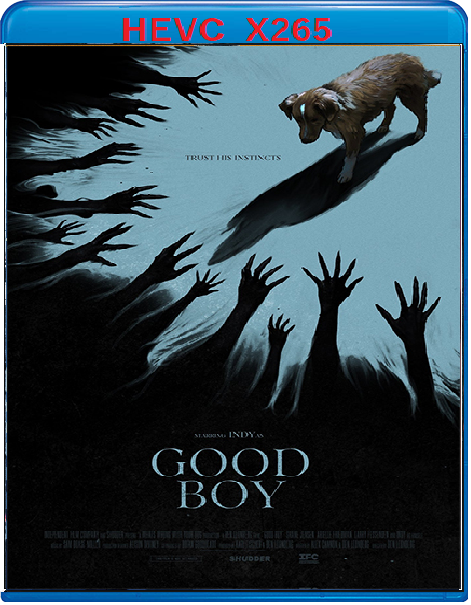 Good Boy (2025) mkv FullHD 1080p HEVC AC3 ITA ENG Sub