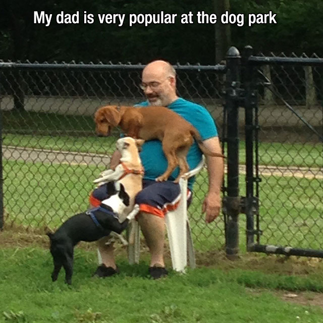 mans-best-friend-81