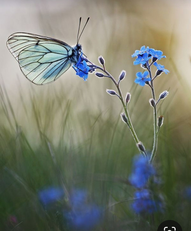 Screenshot_20240429_214301_Pinterest