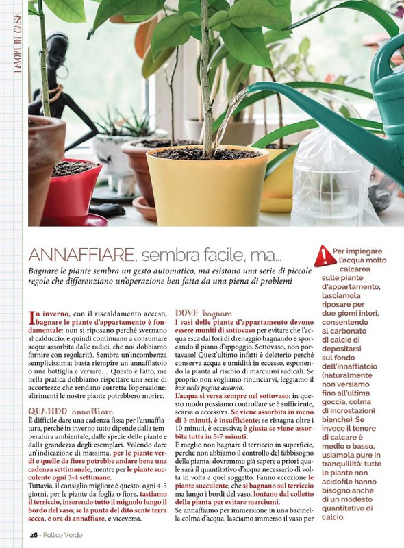 Pol Ver Gen-Feb 2022 (5)