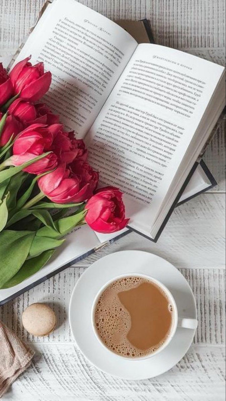 117eb71edfa7db30c5695573ccb5880a