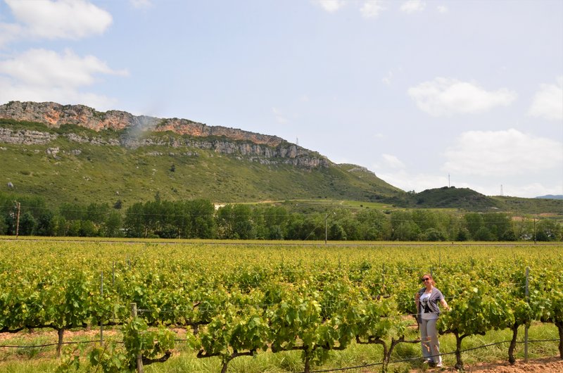 Haro-26-6-2013 - La Rioja y sus pueblos-2013 (1)